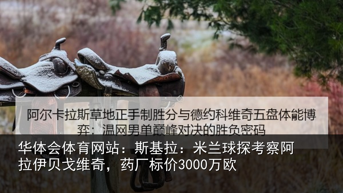 华体会体育网站：斯基拉：米兰球探考察阿拉伊贝戈维奇，药厂标价3000万欧