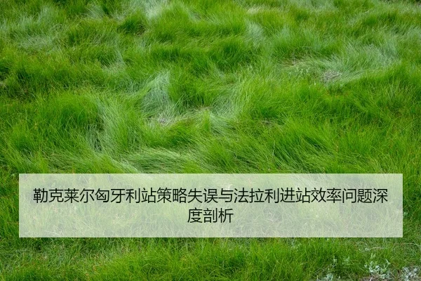 勒克莱尔匈牙利站策略失误与法拉利进站效率问题深度剖析