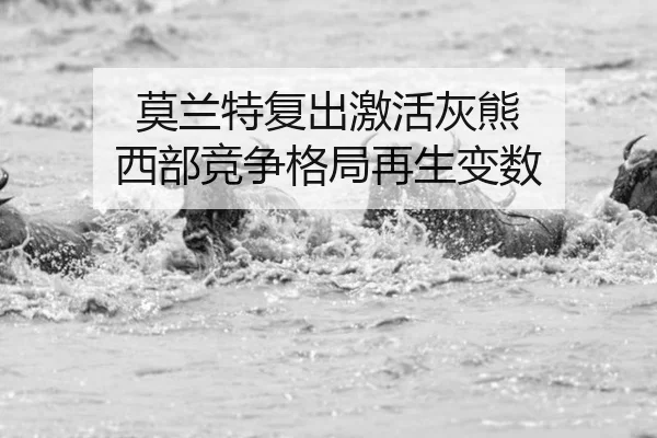 mo-lan-te-fu-chu-ji-huo-hui-xiong-xi-bu-jing-zheng-ge-ju-zai-sheng-bian-shu-2-510.jpg